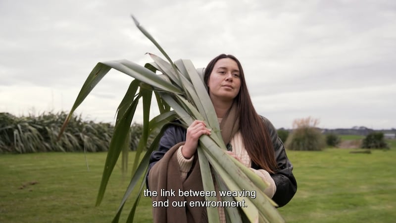 Te Huia Taylor, collecting harakeke