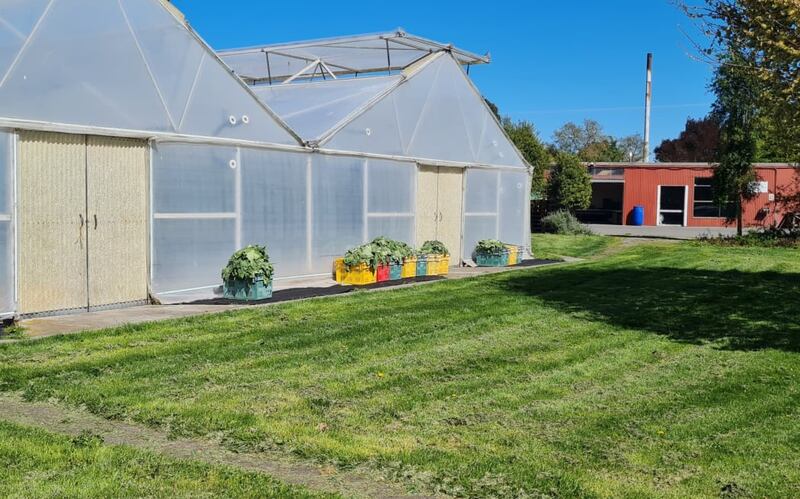 A glasshouse at Nova Trust's rehab centre on a 30-hectare property at Templeton.