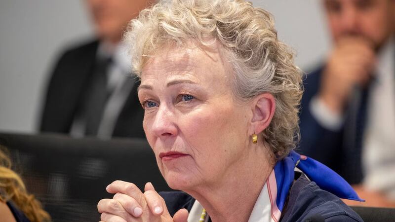 Wellington City councillor Nicola Young is no stranger to controversy herself, in June she withdrew a comment branding a proposed Chinese garden on Wellington waterfront a “Uyghur’s park”.