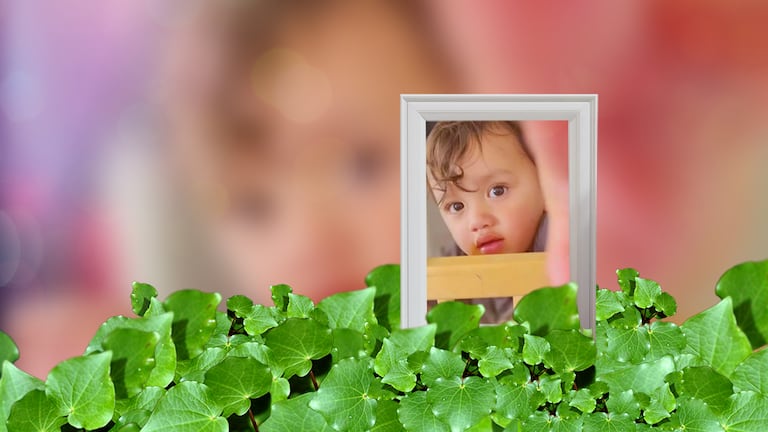 toddler ru 