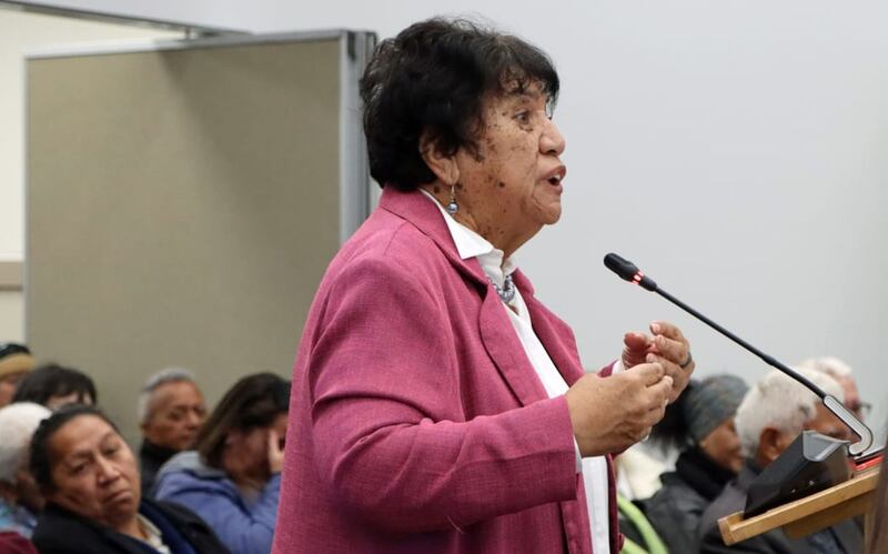 Mabel Wharekawa-Burt, who had asked councillors to take a chance, said she was "ecstatic" for her grandchildren at the outcome.