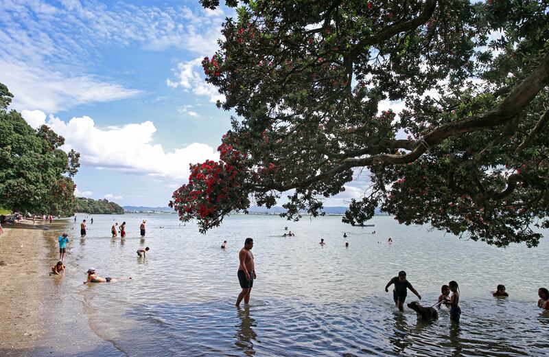 Pt Chevalier beach.