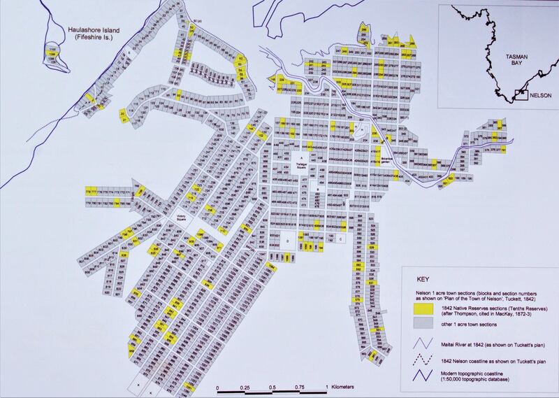 Plan of the town of Nelson showing the 1100 one-acre NZ Company town sections. The 100 Tenths Reserves sections selected in 1842 (adapted from Tuckett 1842) are coloured yellow.