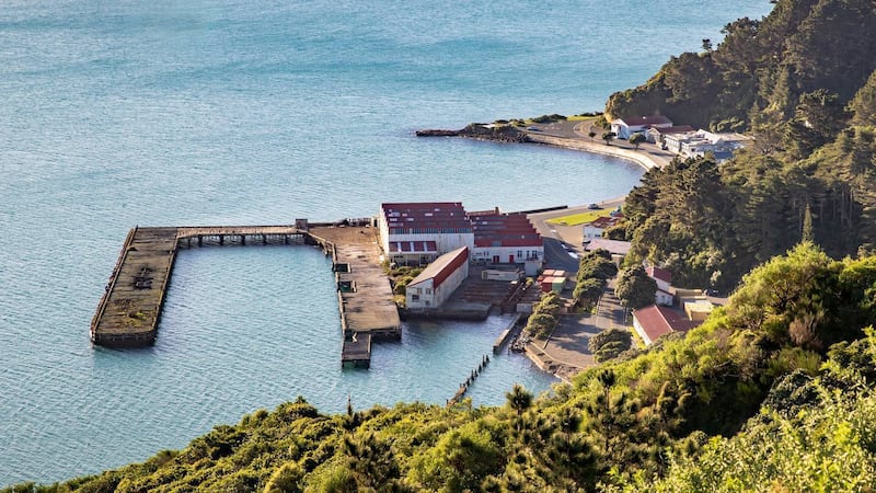 The Shelly Bay whenua in Miramar, Wellington (Pōneke).