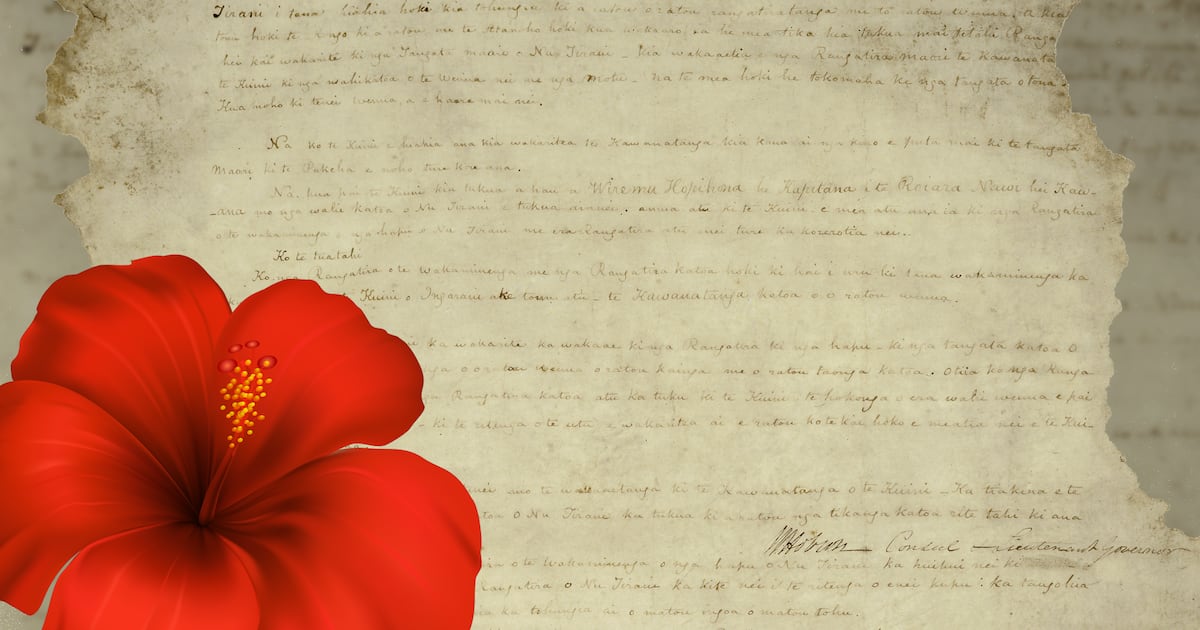 Tongan youth advocate urges Pasifika to submit views on Treaty Principles Bill