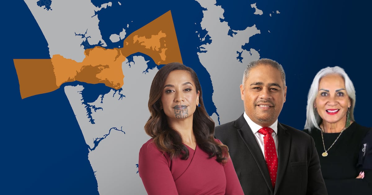 Everything you need to know about the 2025 Tāmaki Makaurau by-election