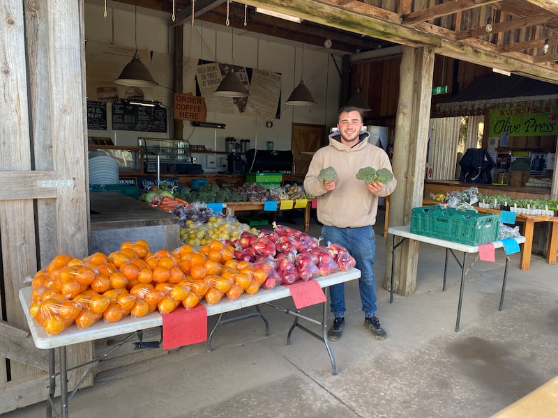 With kumara costing a whopping $14 a kg at supermarkets, Thistlethwaite is managing to sell it for just $5/kg.