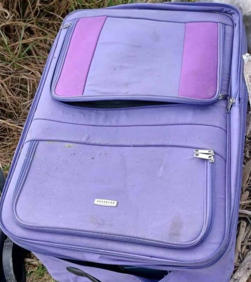 The purple suitcase police are seeking.